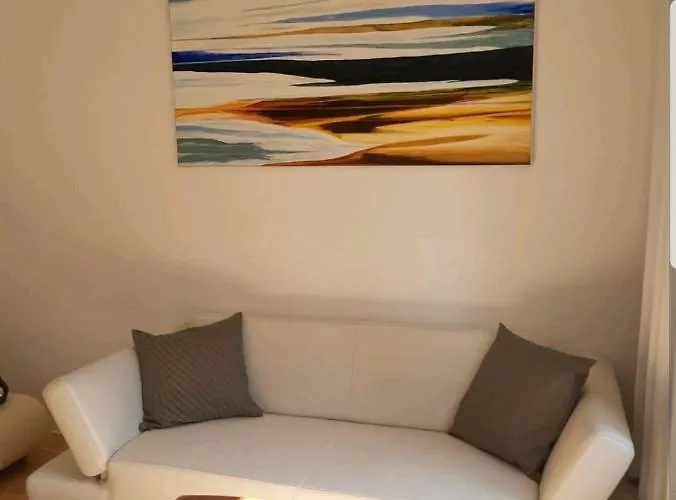 Perfect To Visit The Fair Or